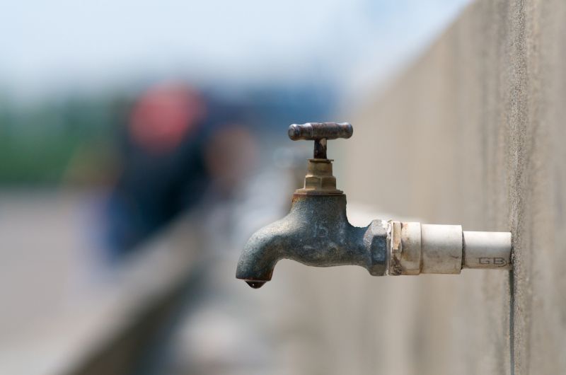 Eco-Friendly Options